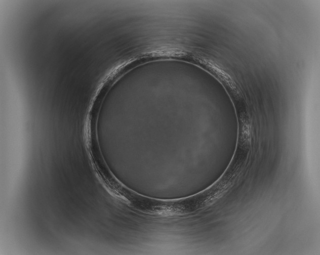 X0000113570678200909181248