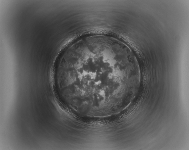 X0000113570679200909181247