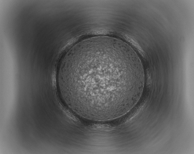 X0000113570681200909181247