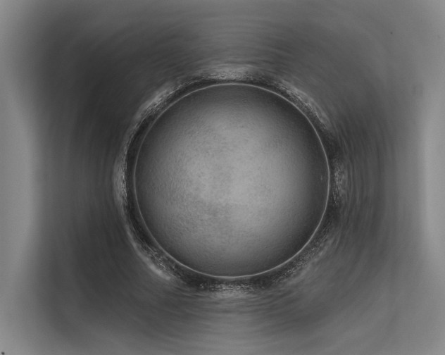 X0000113570682200909181247