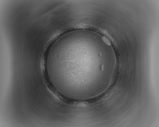 X0000113570683200909181247