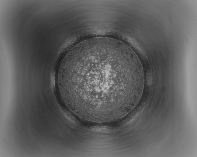 X0000113570685200909181247