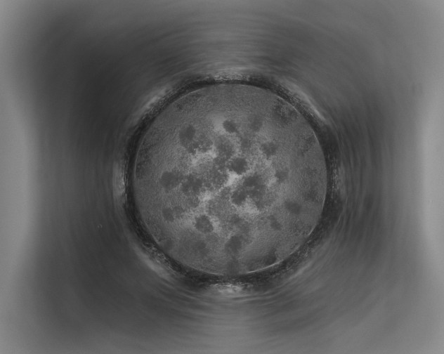 X0000113570687200909181247