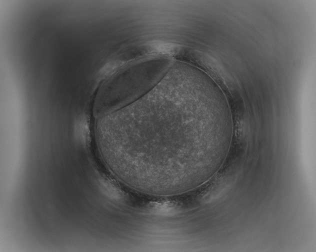 X0000113570688200909181247