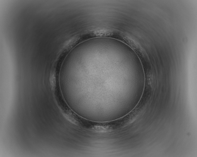 X0000113570690200909181247
