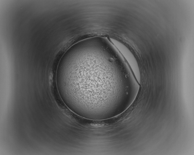 X0000113570693200909181247
