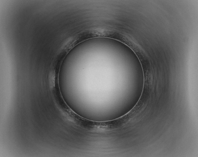 X0000113570694200909181247