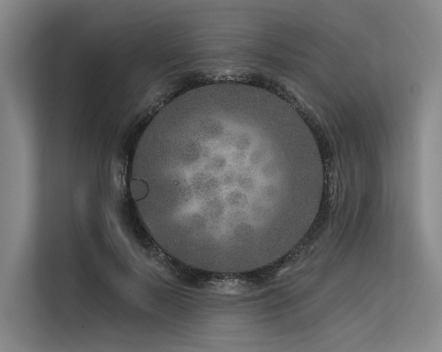 X0000113570695200909181247