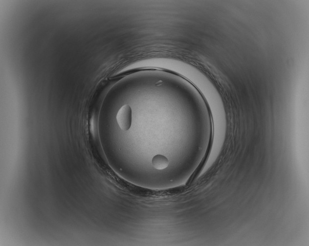 X0000113570696200909181247