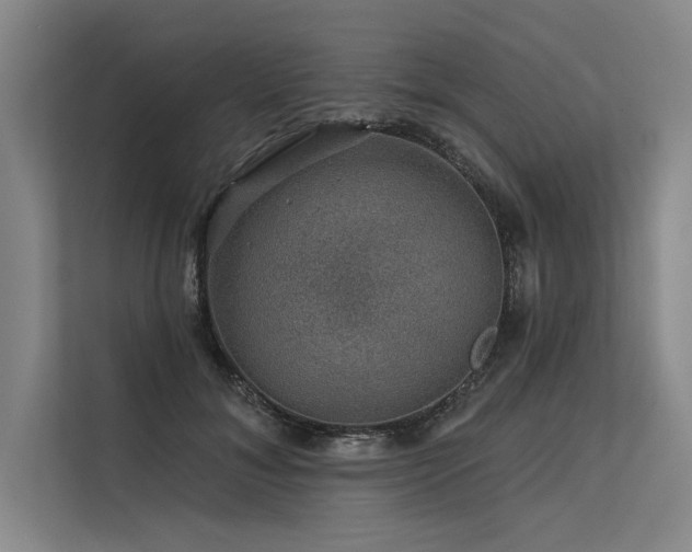 X0000113570700200909181247