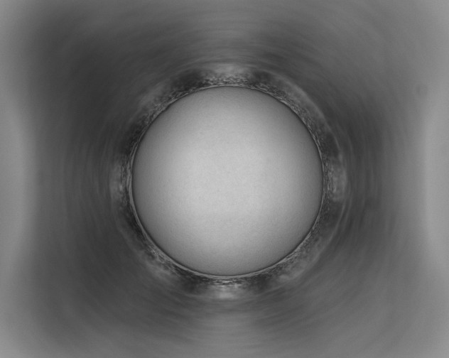 X0000113570701200909181247