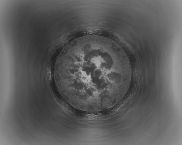 X0000113570703200909181247