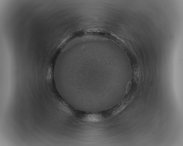 X0000113570708200909181247