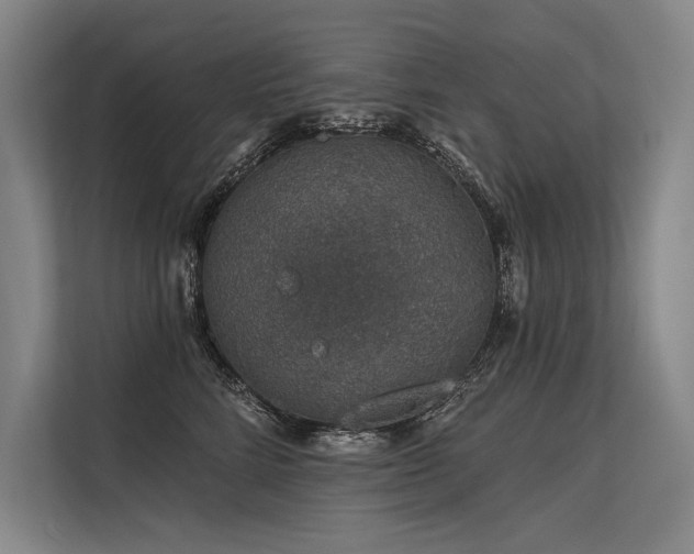 X0000113570712200909181247