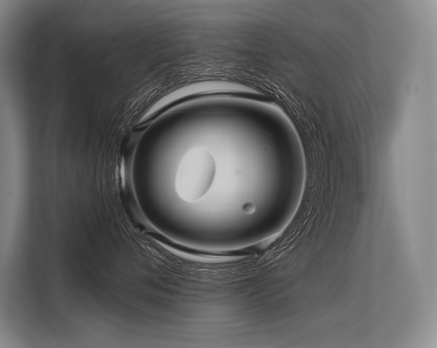 X0000113570720200909181247