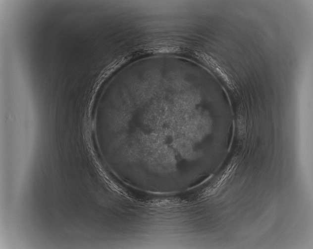 X0000113570721200909181246