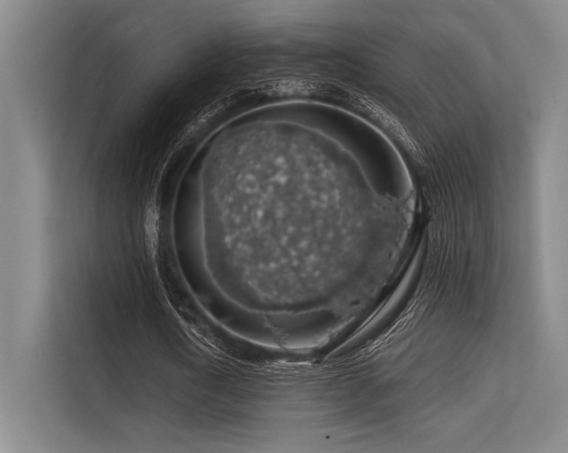 X0000113570722200909181246