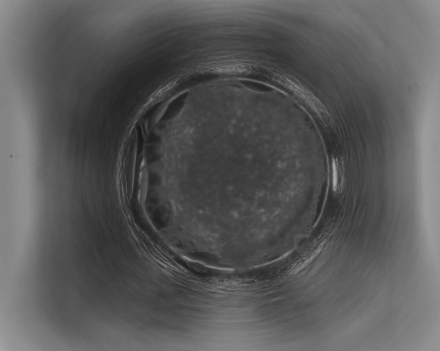 X0000113570723200909181246