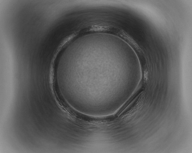 X0000113570724200909181246