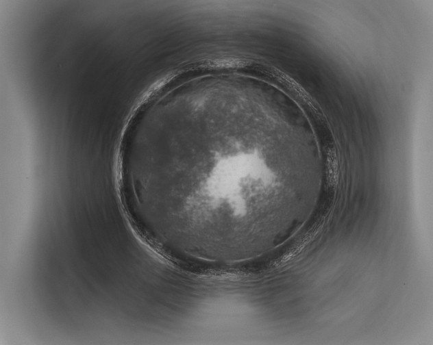 X0000113570726200909181246