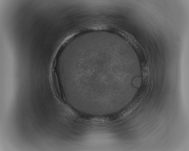 X0000113570727200909181246