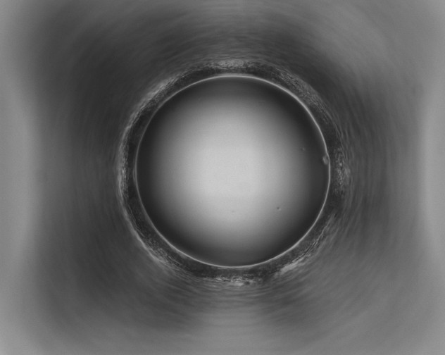 X0000113570728200909181246