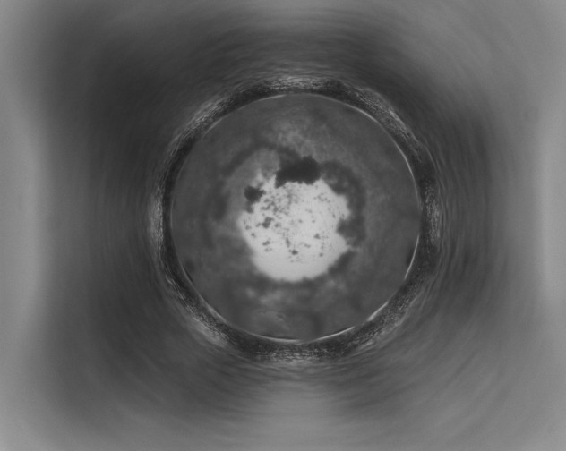 X0000113570729200909181246
