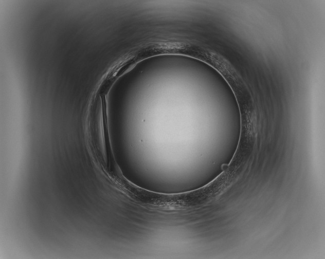 X0000113570731200909181246