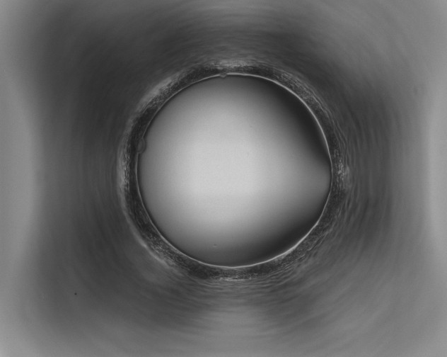 X0000113570732200909181246