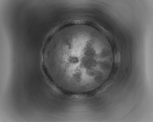 X0000113570733200909181246