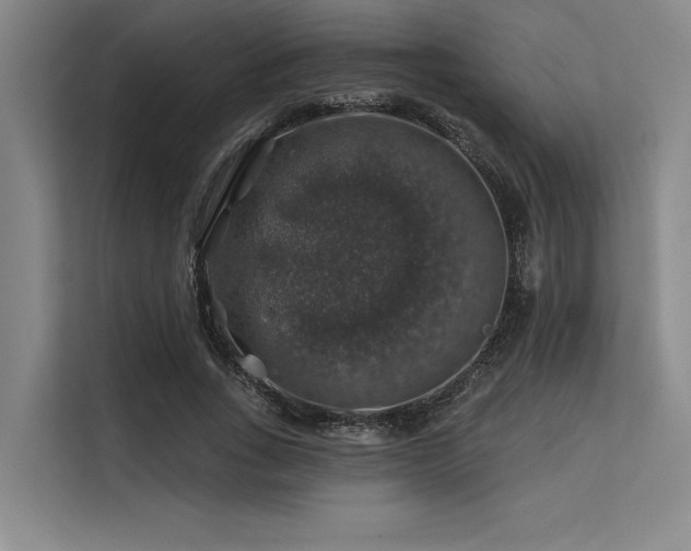 X0000113570735200909181247