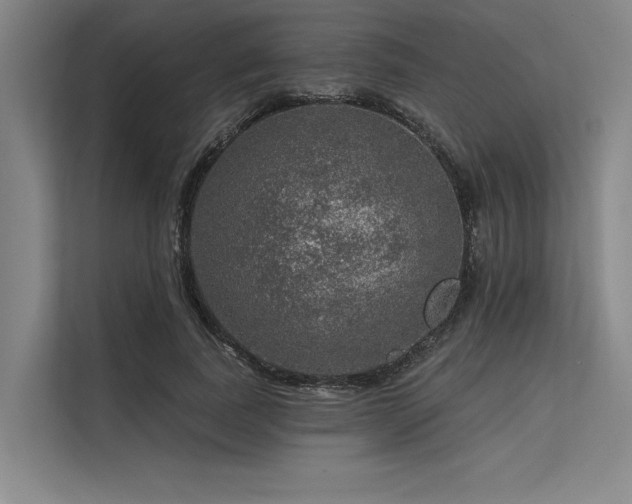 X0000113570739200909181247