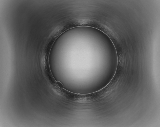 X0000113570740200909181247