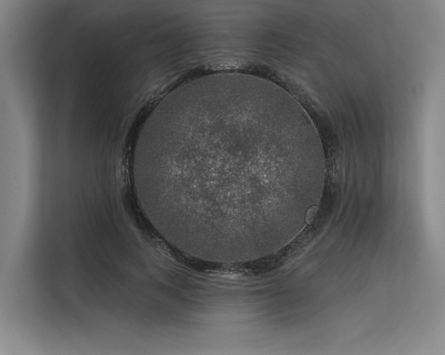 X0000113570743200909181247
