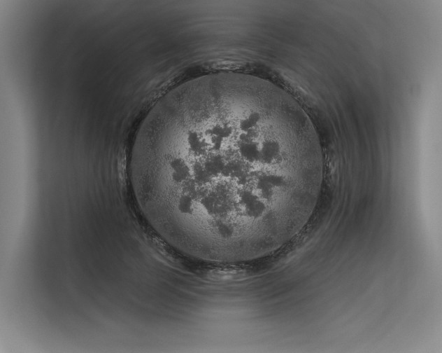 X0000113570745200909181247