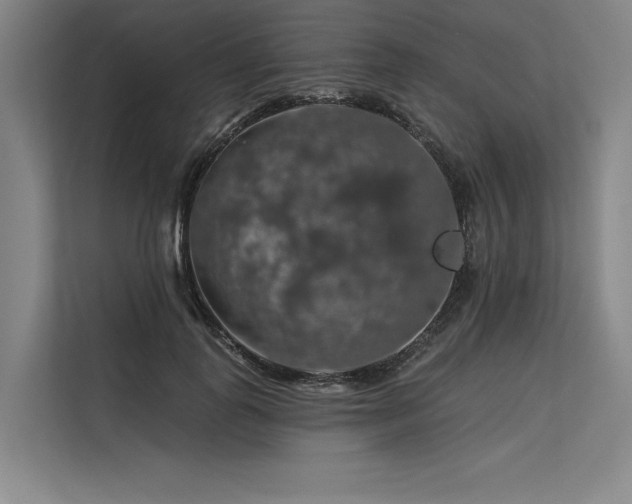 X0000113570747200909181247