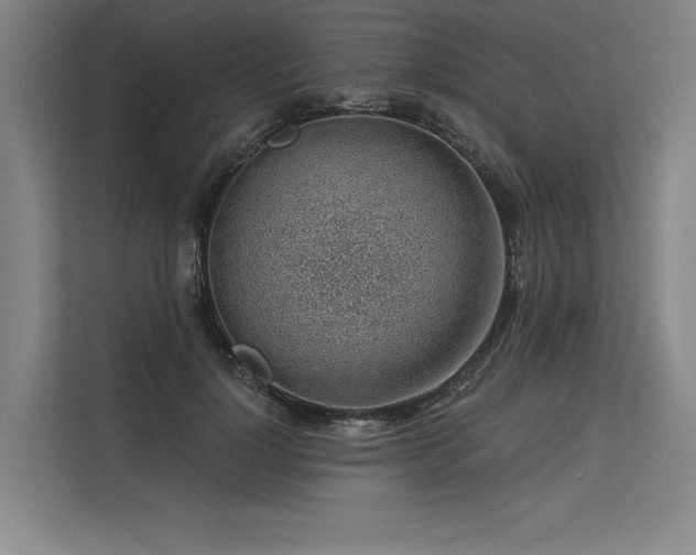 X0000113570748200909181247