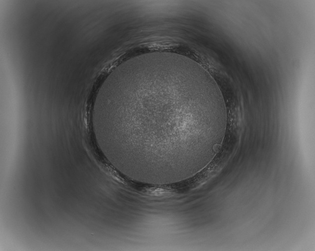 X0000113570755200909181247