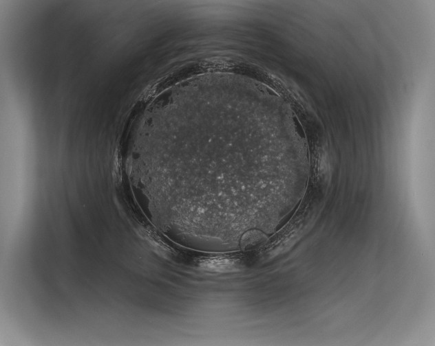X0000113570759200909181247