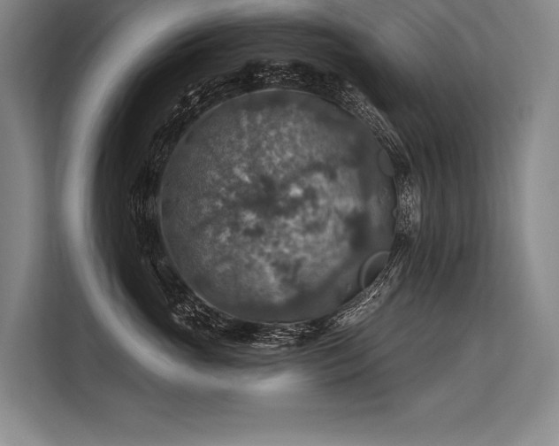X0000113570765200909181247