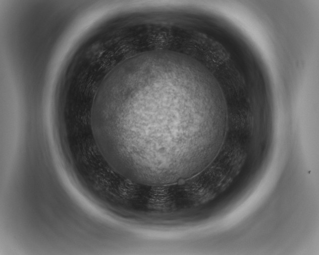 X0000113570766200909181247