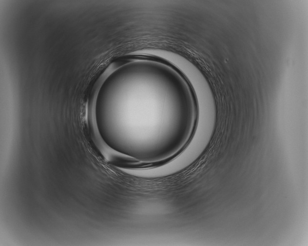 X0000113570768200909181247