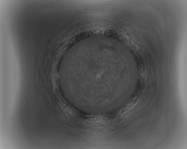 X0000113570769200909181246