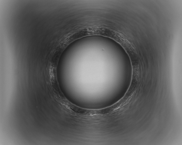 X0000113570770200909181246