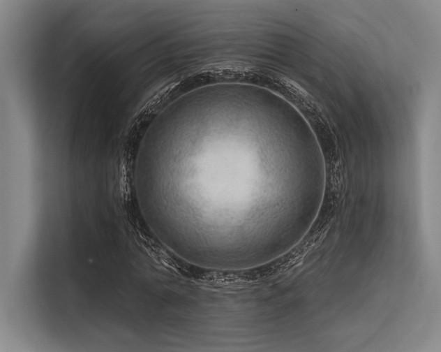 X0000113570774200909181246