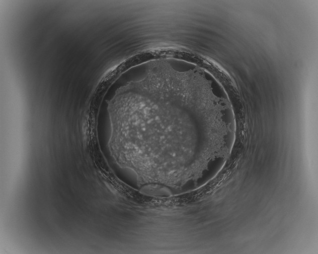 X0000113570775200909181246