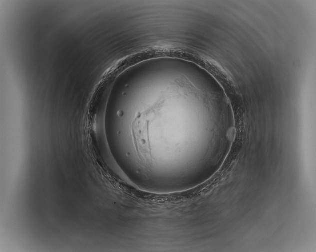 X0000113570776200909181246