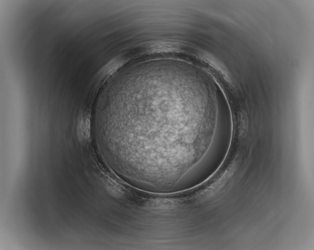 X0000113570777200909181246