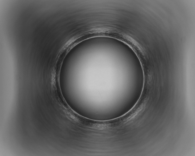 X0000113570778200909181246