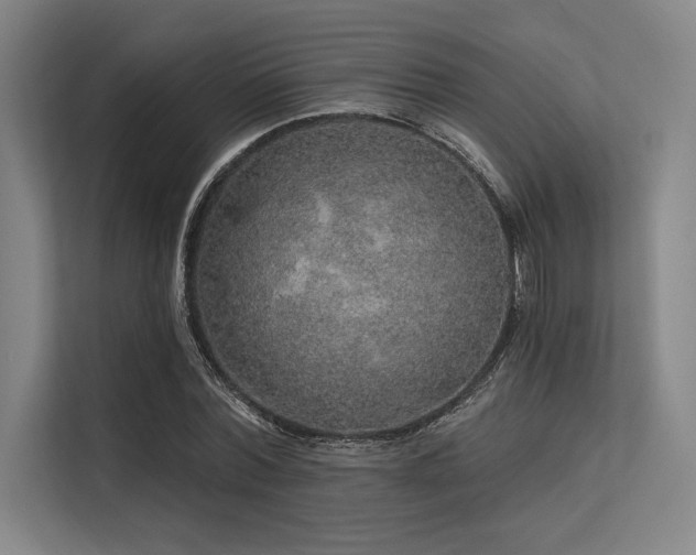 X0000113570780200909181246